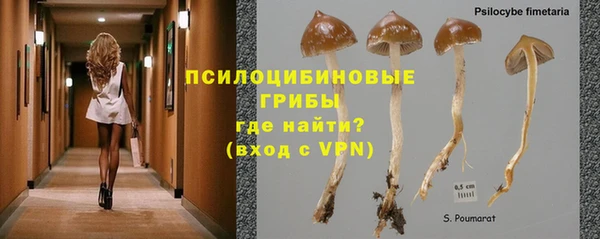 прущий лед Тихвин