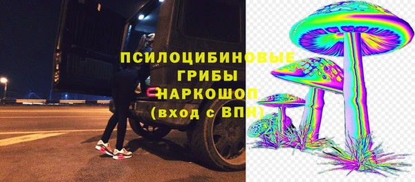 хмурый Дмитриев