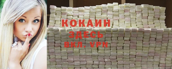 хмурый Дмитриев