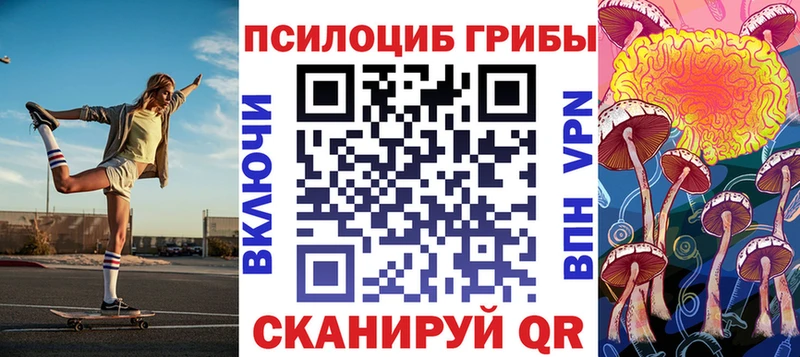 Псилоцибиновые грибы мухоморы  маркетплейс какой сайт  Новая Ладога 