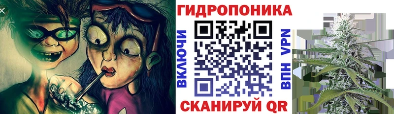 купить наркотики сайты  Новая Ладога  МЕГА ТОР  Канабис Bruce Banner 